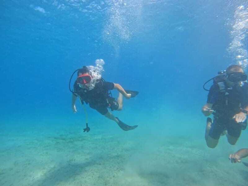 Chania: Scuba Diving and Snorkeling for Beginners by Boat - Frequently Asked Questions
