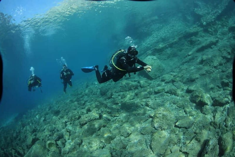 Chania :Scuba Diving for Beginners-Boat Dive - Who Will Love It