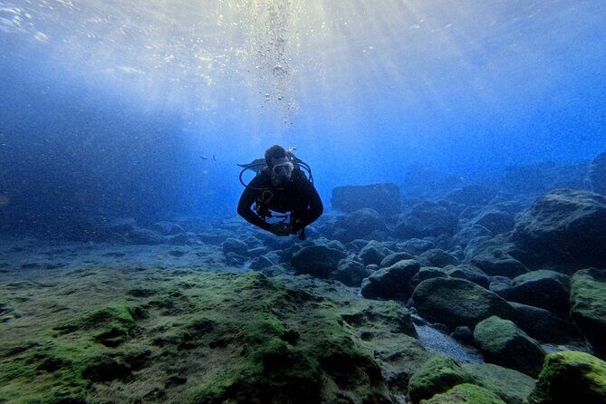 Chania Scuba Diving | Fun Dives | Certified Divers - An In-Depth Look at the Experience