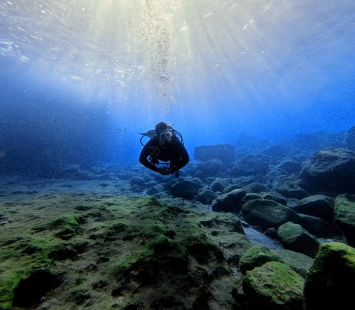 Chania Scuba Diving | Fun Dives | Certified Divers - Key Points