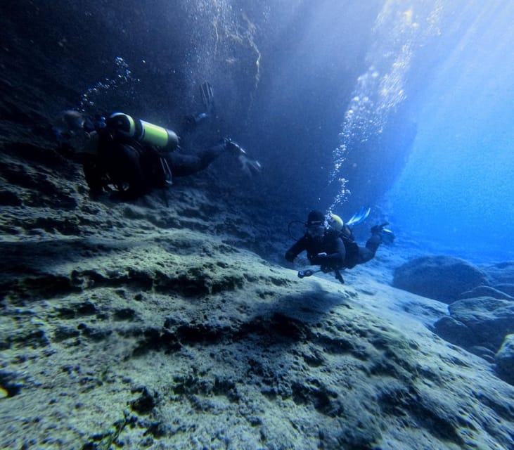 Chania Scuba Diving | Fun Dives | Certified Divers - What Makes This Tour Stand Out?
