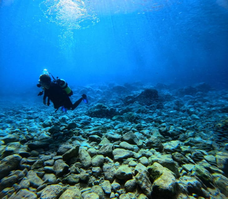 Chania Scuba Diving | Fun Dives | Certified Divers - Who Is This Tour Best For?