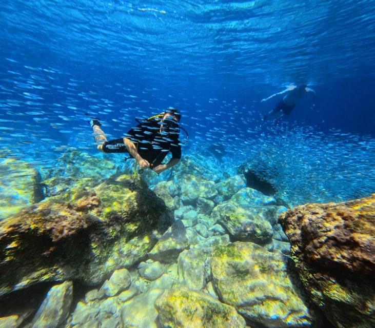 Chania Scuba Diving | Fun Dives | Certified Divers - The Sum Up: Is It Worth It?