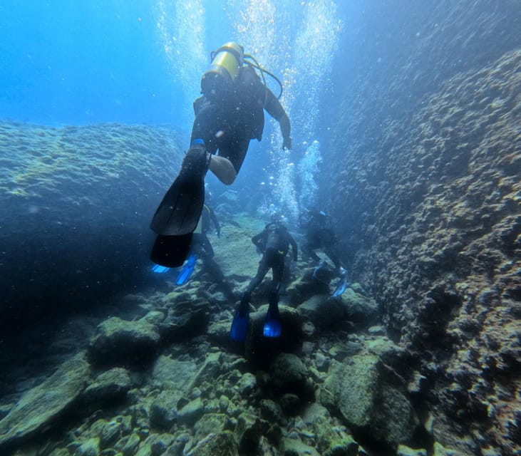 Chania Scuba Diving | Fun Dives | Certified Divers - FAQ: Your Questions Answered