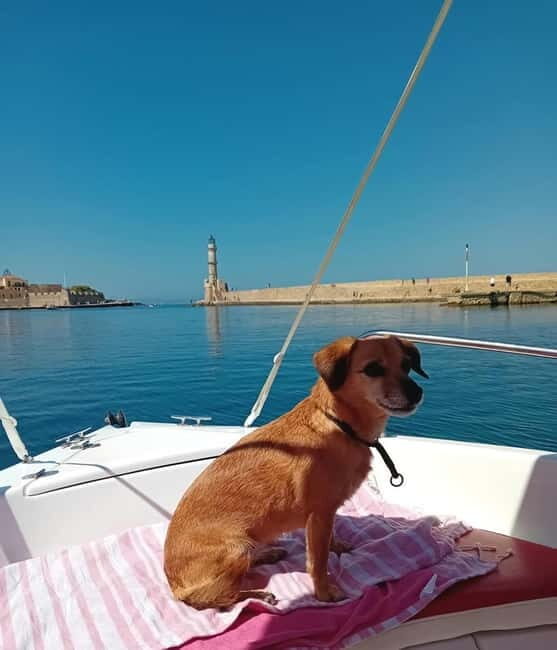 Chania: Self-Drive Boat Rental from Old Port - Key Points