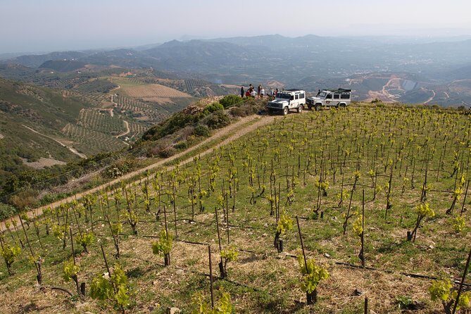Chania Shore Excursion Off Road Vineyard and Winery Tour Half Day - An In-Depth Look at the Itinerary
