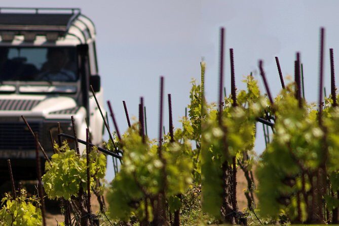 Chania Shore Excursion Off Road Vineyard and Winery Tour Half Day - Price and Value