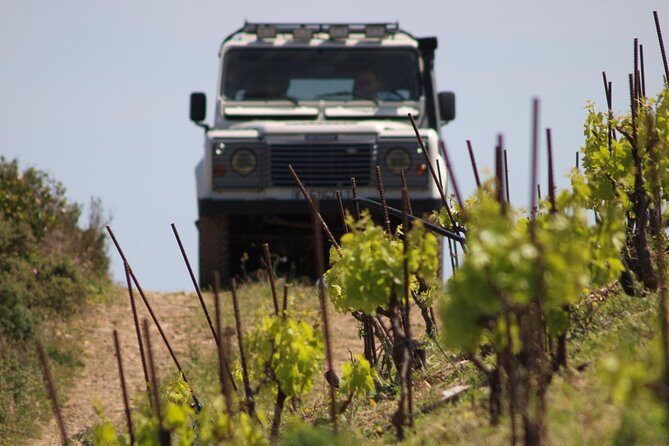 Chania Shore Excursion Off Road Vineyard and Winery Tour Half Day - Authentic Experiences and Local Touches