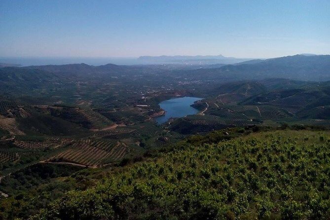 Chania Shore Excursion Off Road Vineyard and Winery Tour Half Day - The Sum Up