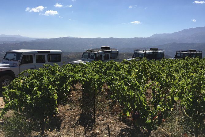 Chania Shore Excursion Off Road Vineyard and Winery Tour Half Day - FAQ