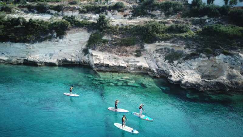 Chania: Stand-Up Paddleboard Small Group Tour - Paddling Techniques and Guidance