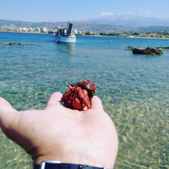 Chania Town: Glass-Bottom Boat Cruise to Thodorou & Lazareta - An In-Depth Look at the Glass-Bottom Boat Experience