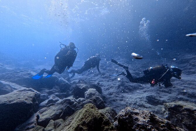 Chania | Try Scuba Diving | Private Introduction Dive - Discover the Underwater Beauty of Crete with a Private Try Scuba Diving Experience