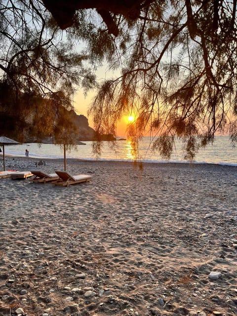Chania:Elafonisi,Chrisoskalitisa & Sfinari Private Tour - Key Points