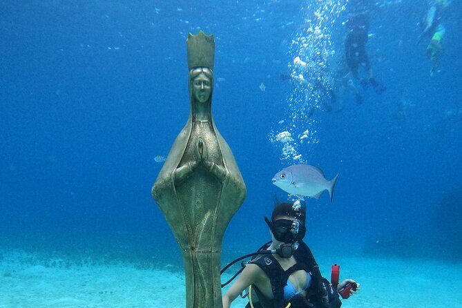 Chankanaab Park Admission +Snorkeling + Lunch included - Final Thoughts: Is It Worth It?