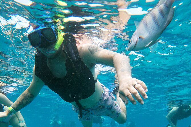 Chankanaab Park Admission + Welcome drink + Snorkeling - Who Should Consider This Tour?