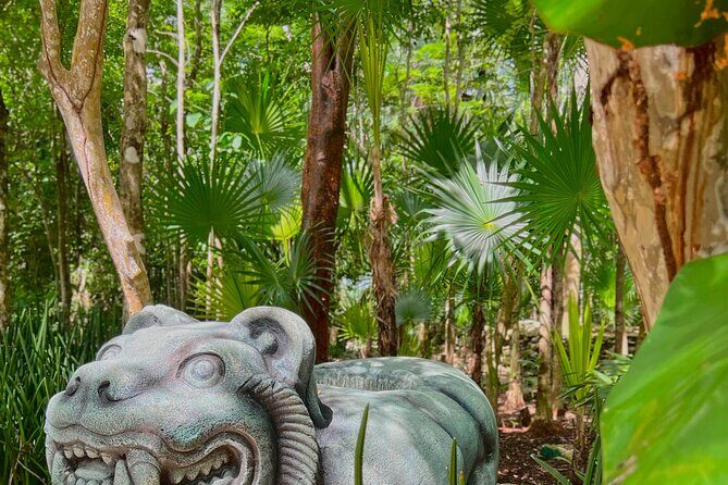 Chankanaab Park Admission + Welcome drink + Snorkeling - The Sum Up