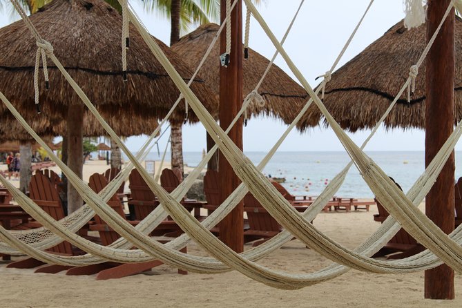 Chankanaab Park All Inclusive Day Pass and Snorkel With Lunch - Customer Reviews and Feedback