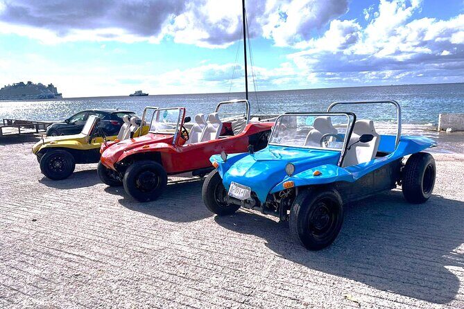 Chankanaab Park and Island Tour by Buggy with Mexican Lunch - An In-Depth Look at What This Tour Offers