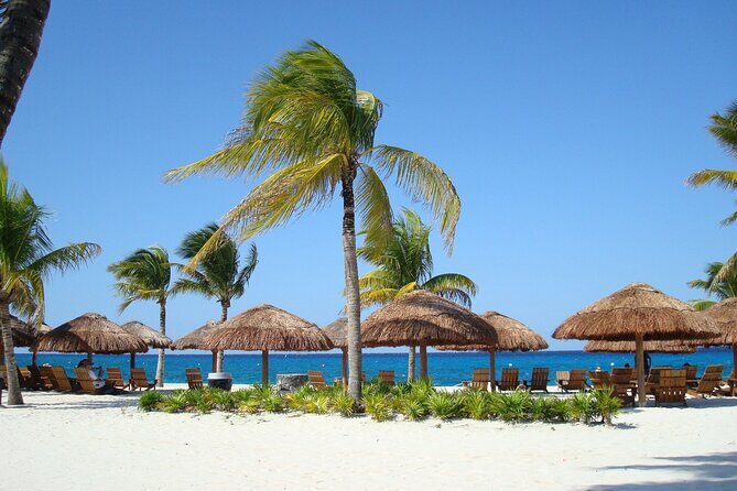 Chankanaab Park and Island Tour by Buggy with Mexican Lunch - The Value and Cost Analysis