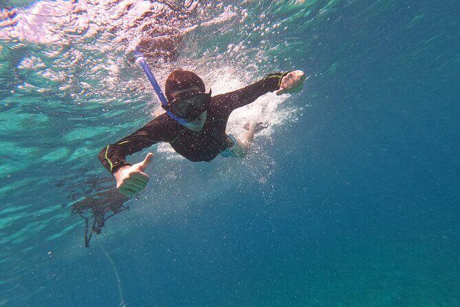 Chankanaab Park entrance ticket with snorkeling and buffet included - Discovering Chankanaab Park: What You Can Expect