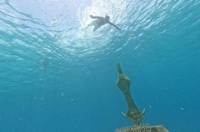 Chankanaab Park entrance ticket with snorkeling and buffet included - The Sum Up