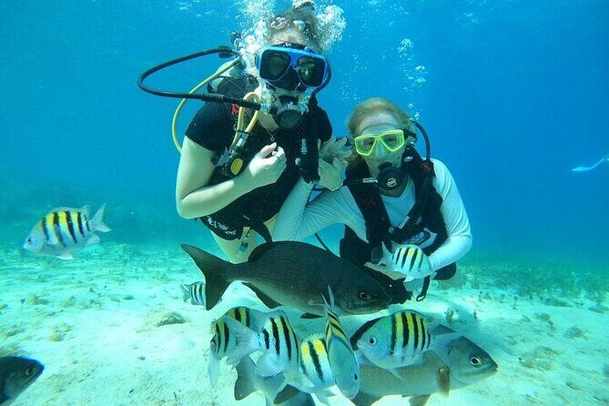 Chankanaab Park Plus Discovery Scuba Dive with Lunch - What to Expect: A Breakdown of the Day