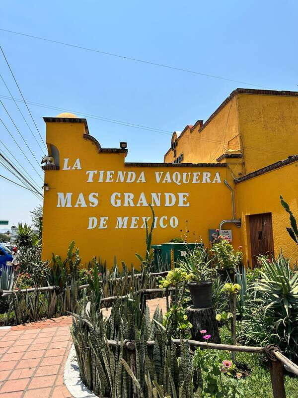 Chapala and Ajijic Tour from Guadalajara with 3 Potrillos - A Full Day You Can Count On — What to Expect