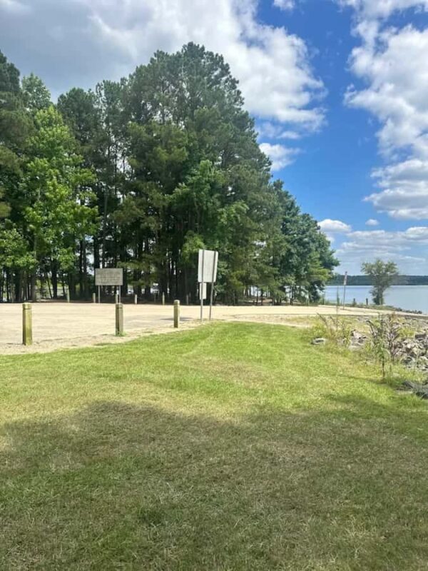 Chapel Hill: Jordan Lake Canoe Rental - Authentic Experiences and Traveler Feedback