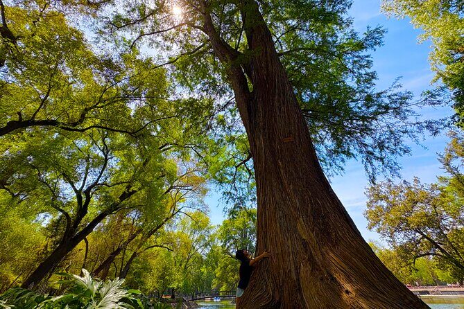 Chapultepec Castle & forest: History, Nature, and Hidden Secrets - The Value of a Private, Guided Tour