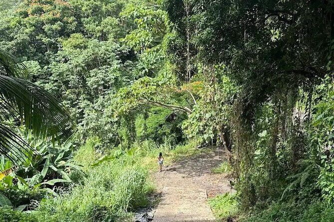 Charco el Hippie Tour - Value and Practical Considerations