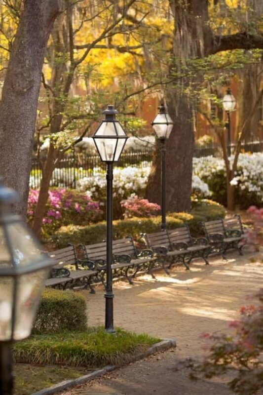 Charleston : Best Street Food Tour With A Local Guide - What to Expect from This Street Food Tour