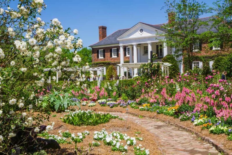 Charleston: Boone Hall Plantation Tour - Key Points
