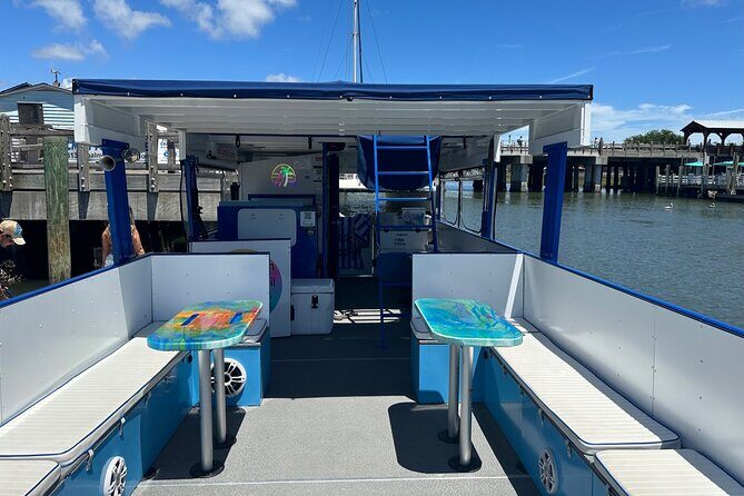 Charleston Dolphin Cruise Scenic Harbor Adventure - Who Will Love This Tour?