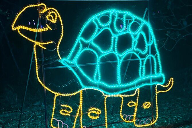 Charleston Festival of Lights with Small Group Transportation - Who Should Consider This Tour?