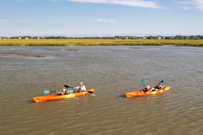 Charleston: Folly Beach Kayak Dolphin Safari - Tour Options and Schedule