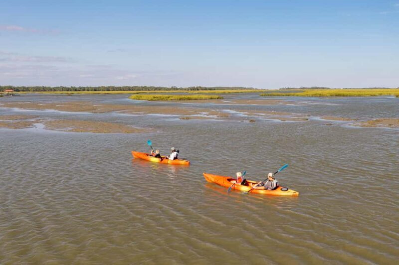 Charleston: Folly Beach Morning Kayak Dolphin Safari - Who Should Consider This Tour?