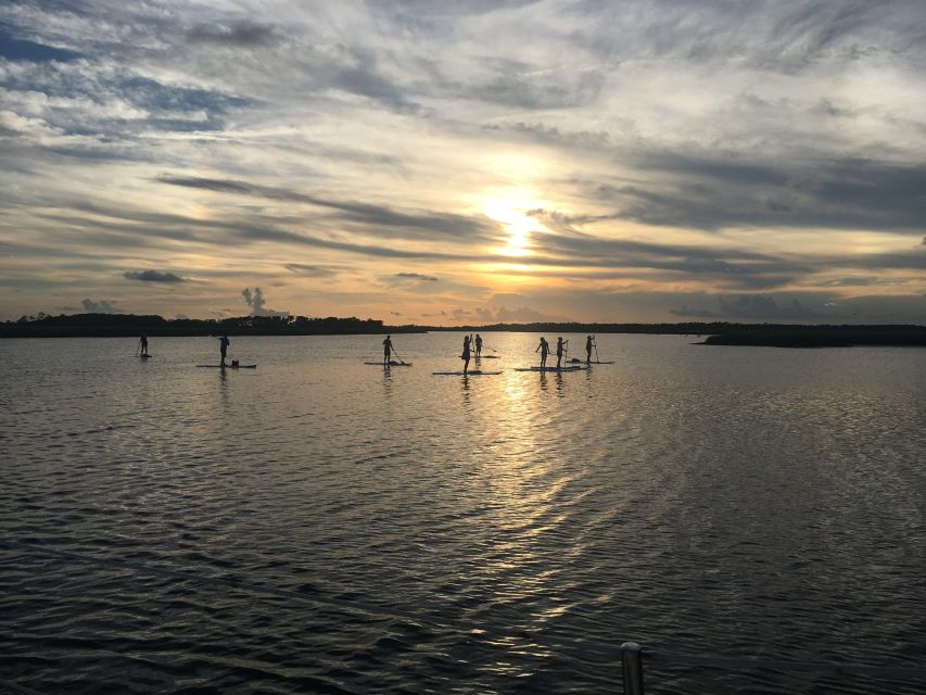 Charleston: Folly Beach Stand Up Paddleboard Dolphin Safari - Instructor Expertise