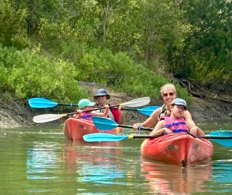 Charleston: Folly River Sunset Kayak Dolphin Safari - The Experience: What Makes It Special