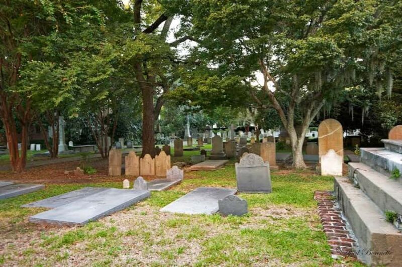 Charleston: French Quarter Guided Walk - Why Youll Love This Tour