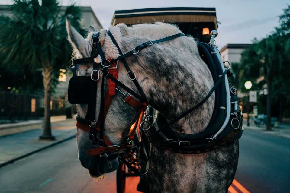 Charleston: Haunted Carriage Evening Tour - Highlights of the Tour