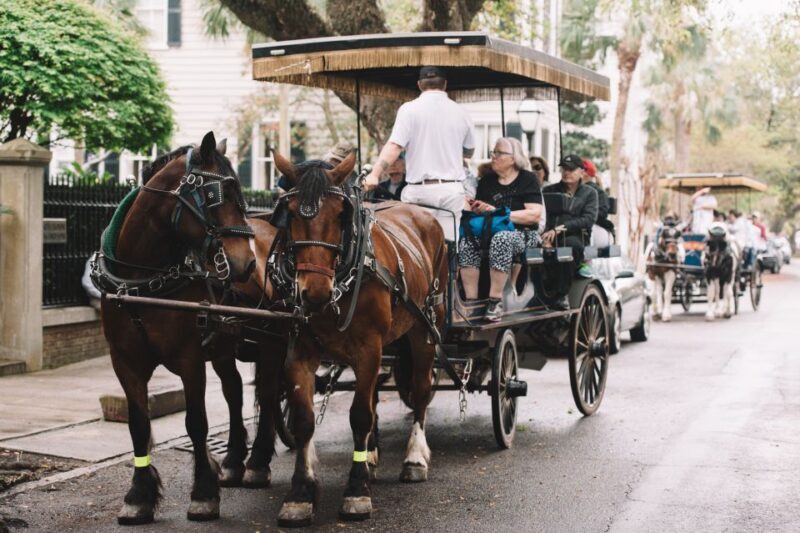 Charleston: Haunted Horse-Drawn Carriage Evening Tour - What to Expect on the Tour