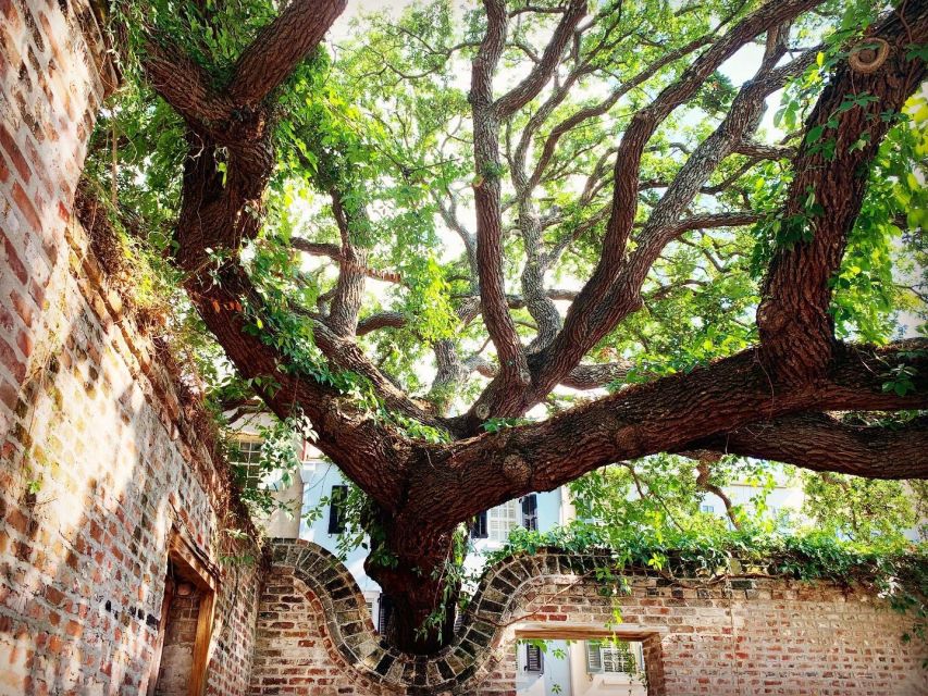 Charleston: Hidden Alleyways Walking Tour With Museum Ticket - Highlights: Rainbow Row