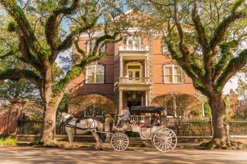 Charleston: Historic Carriage Tour of Charleston - Key Points