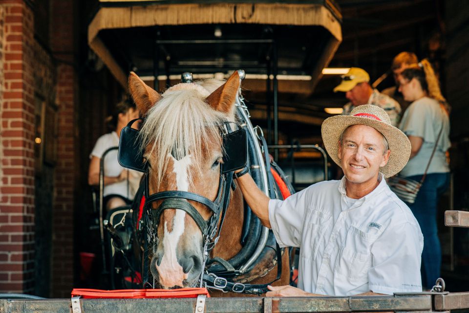 Charleston: Historical Downtown Tour by Horse-drawn Carriage - Whats Included