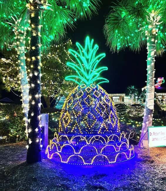 Charleston: Holiday Festival of Lights Tour with S'mores Kit - Key Points