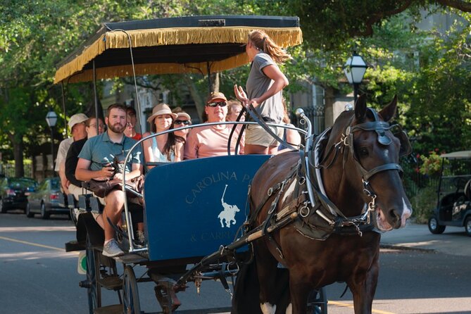 Charleston Horse & Carriage Historic Sightseeing Tour - Reviews