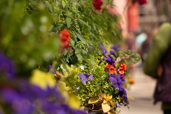 Charleston in a Nutshell Private Tours - Cancellation Policy