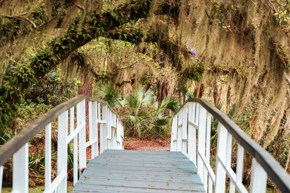 Charleston: Magnolia Plantation Entry & Tour With Transport - Key Points