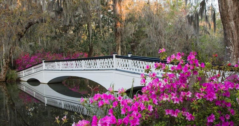 Charleston: Magnolia Plantation Entry & Tour With Transport - Nature Tram Tour